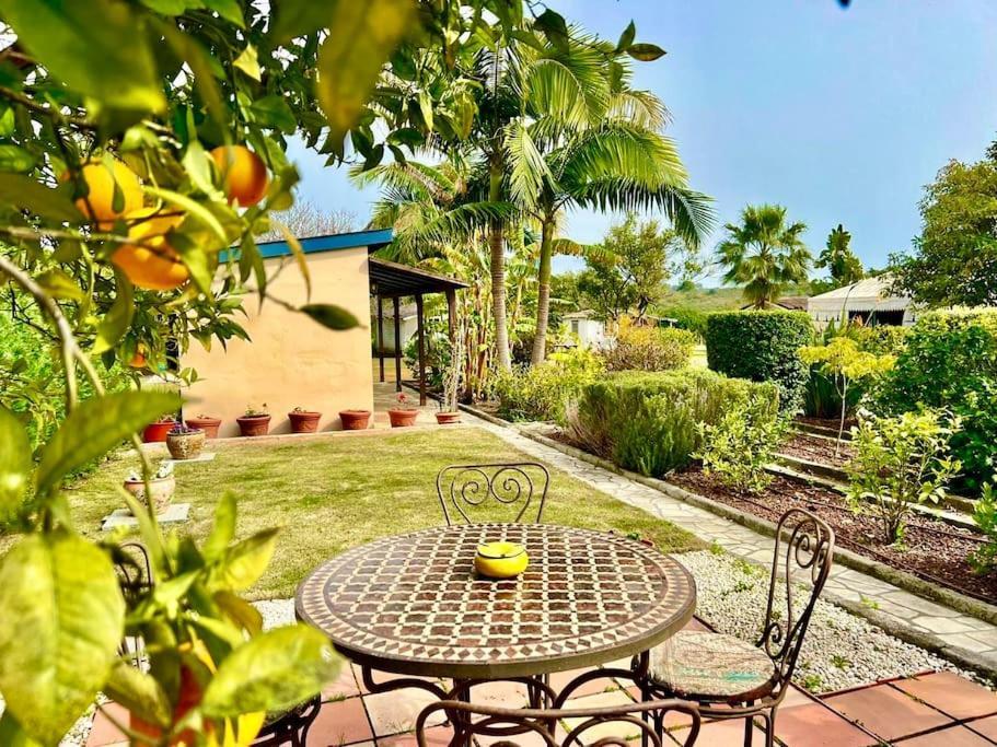 Finca Tierra Sana Эстепона Экстерьер фото
