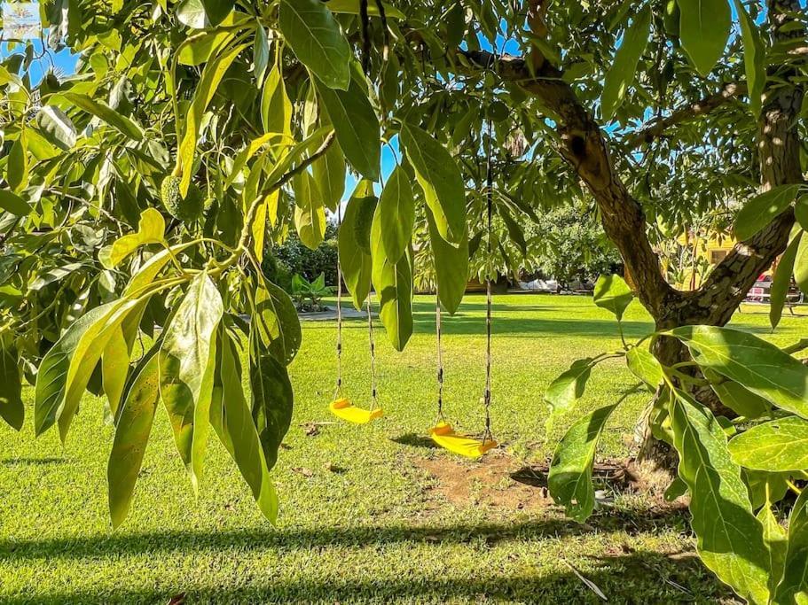 Finca Tierra Sana Эстепона Экстерьер фото